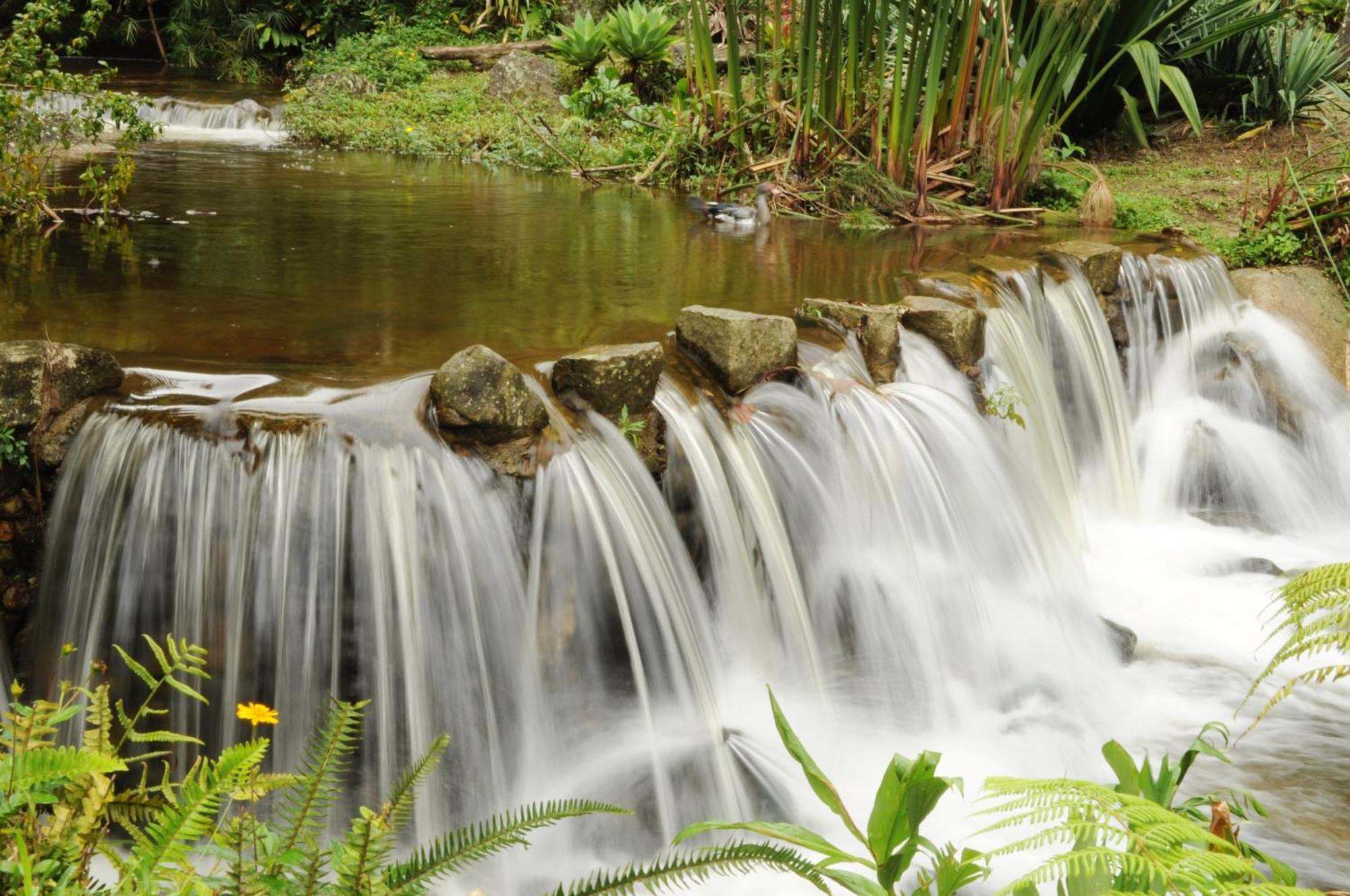 Pousada Sitio E Poesia Teresópolis المظهر الخارجي الصورة